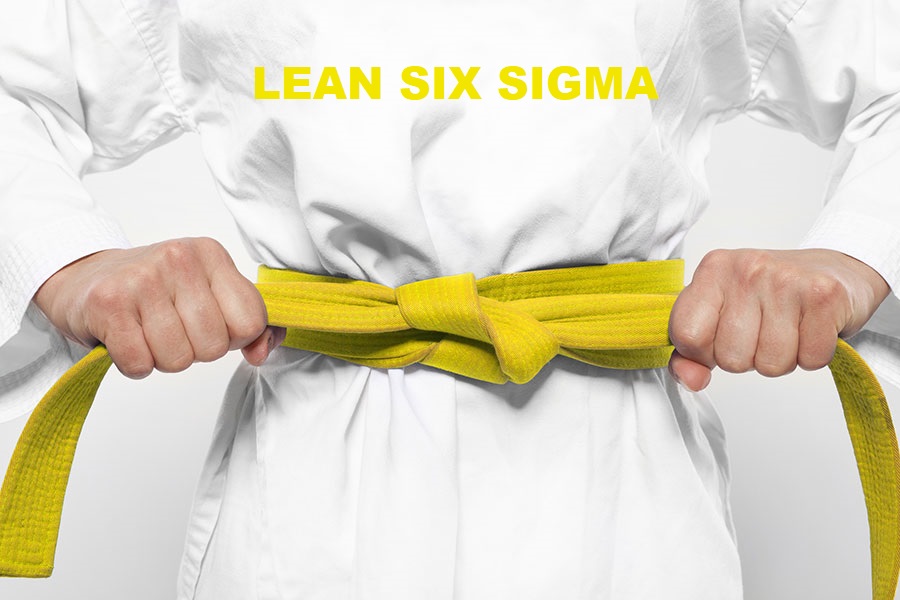 Lean Six Sigma Foundation Course